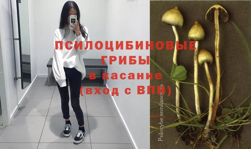 Псилоцибиновые грибы Magic Shrooms  KRAKEN ссылки  Волчанск 